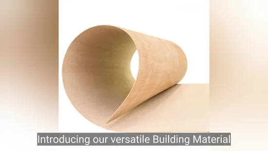 New Design for Men and Women Sunglass UV400 Lenses Square Demi Acetate High Quality Sunglasses